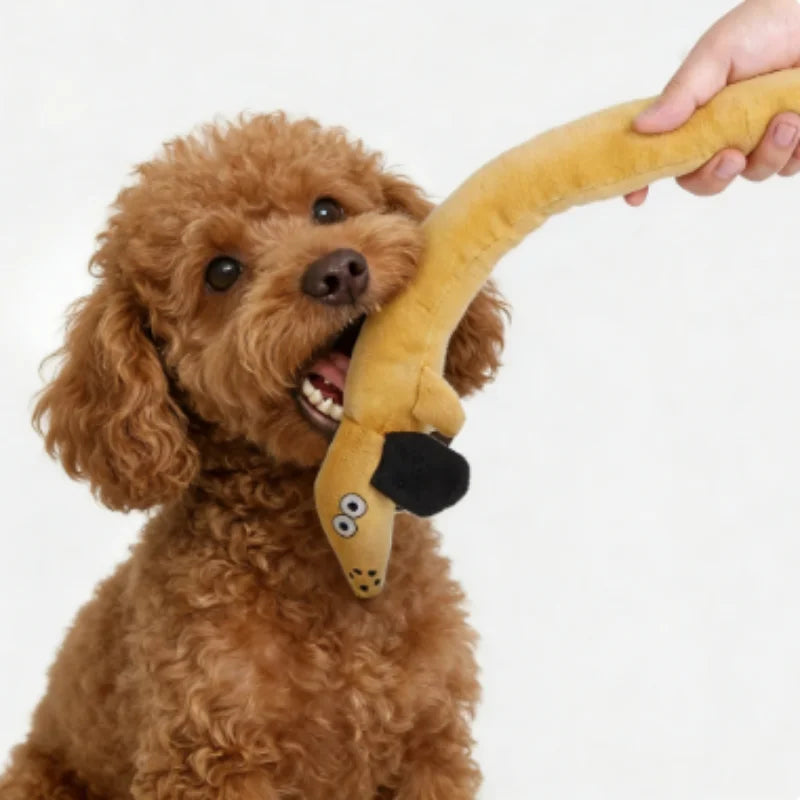 Snail shaped dog and cat toys, pet products, pet supplies, mats to hide food odors, training puzzles, and fun sniffing toys