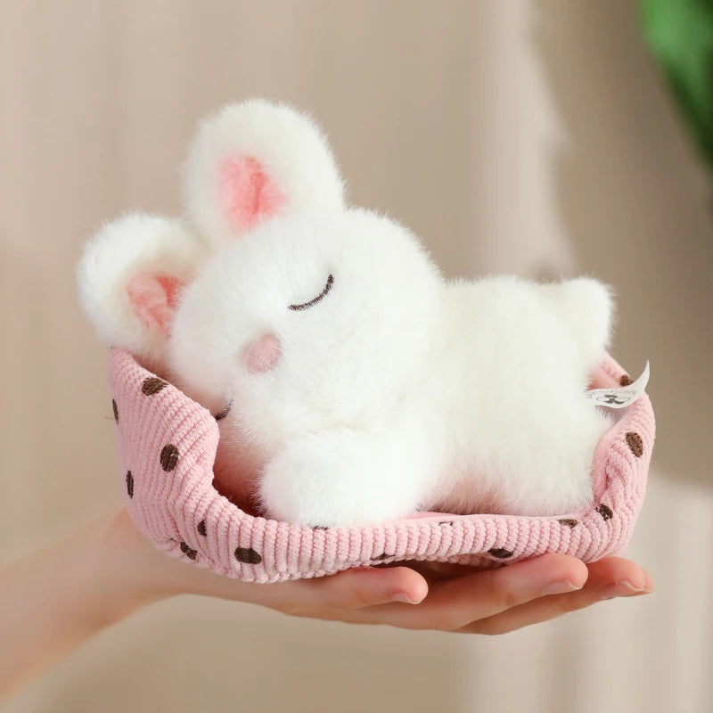 Cute Cartoon Dog, Cat, Fox, Bear,  Rabbit and Pig Plush Toy  Cat Doll Sleeping Animals Toys for Girl Funny Christmas Present