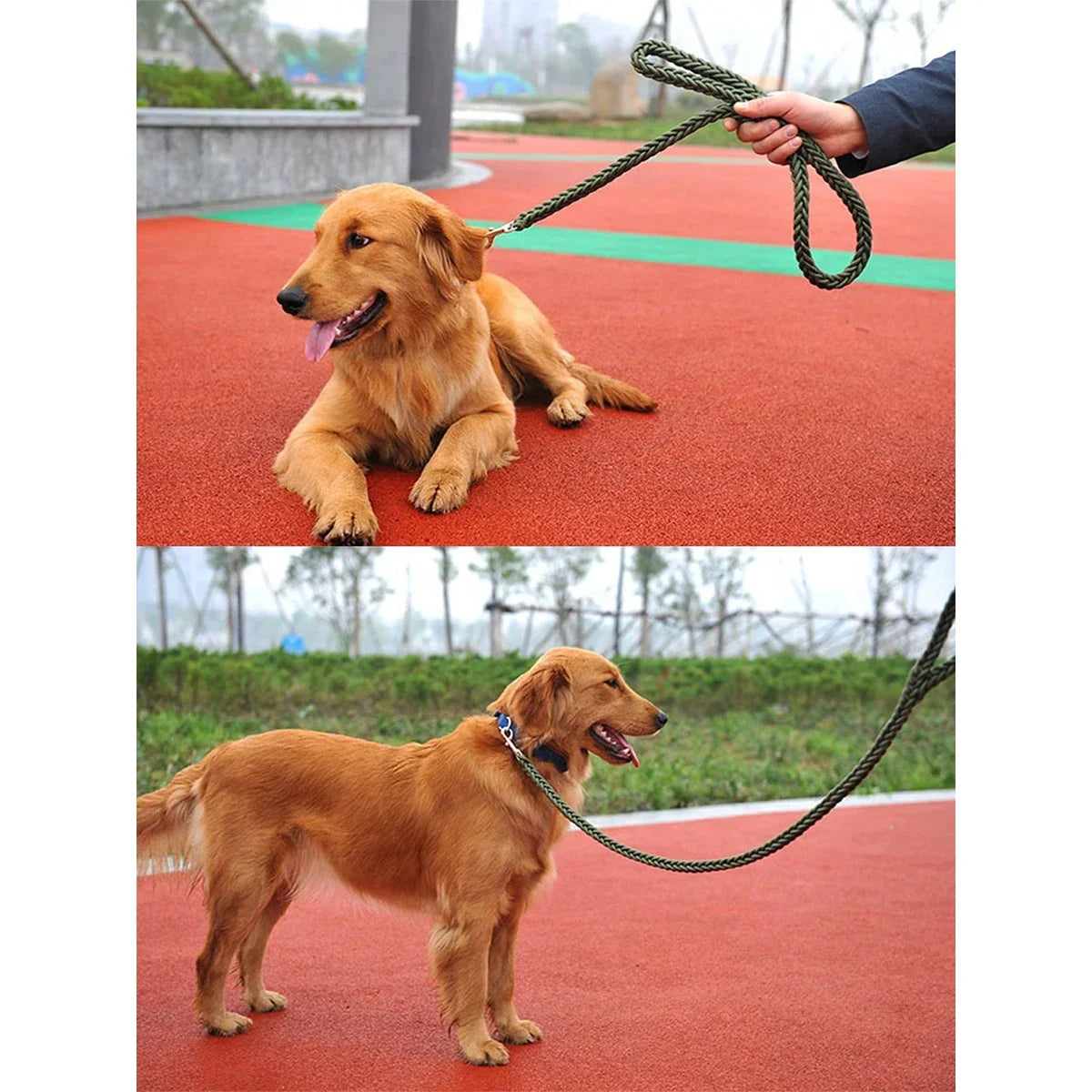 Dog leash for outdoor use. Durable and sturdy. Black design.