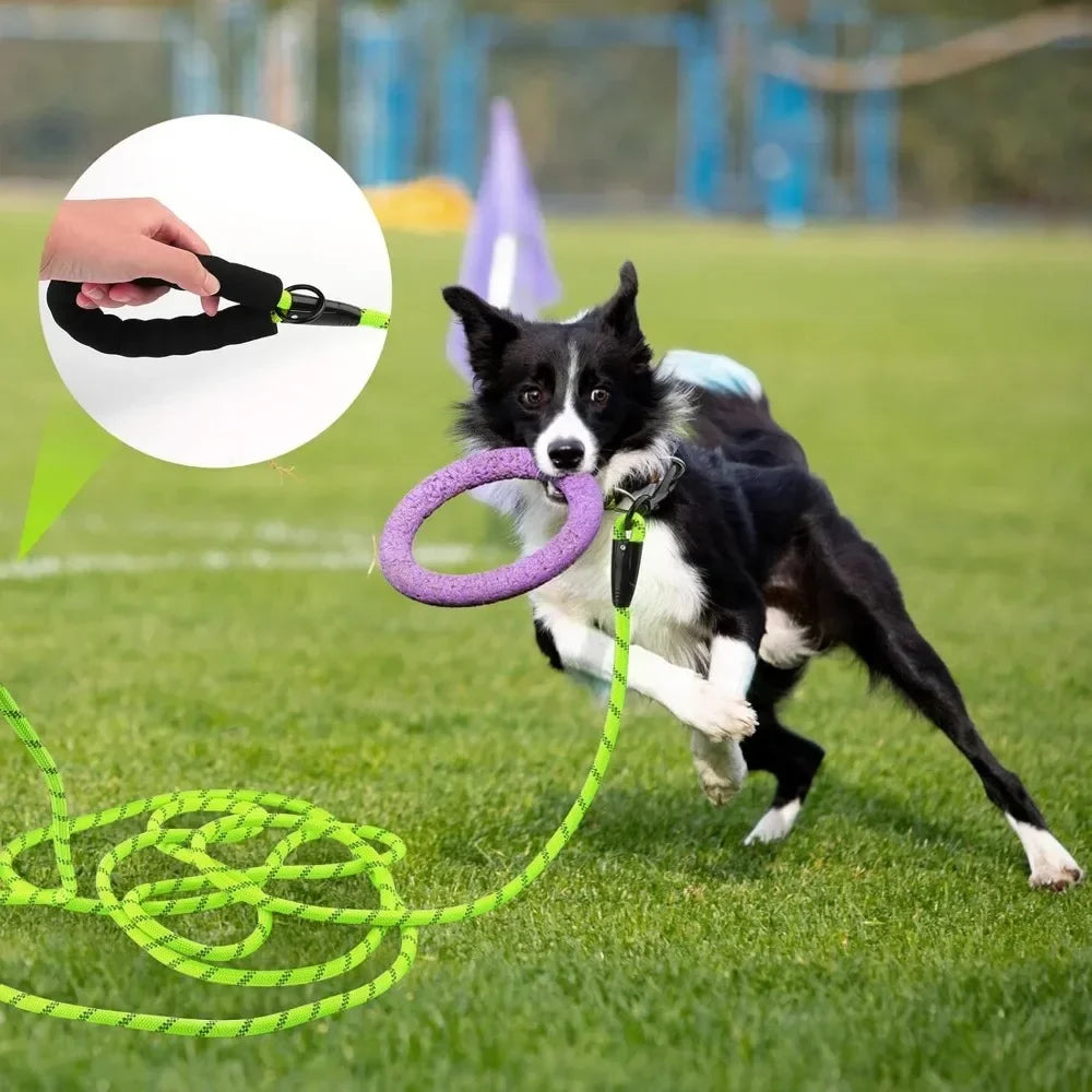 2025 Dog Leash -Double Heavy Duty Traction Rope for Strong Dogs - Enhance Safety and Contr with Comfortable Padded Handle Good